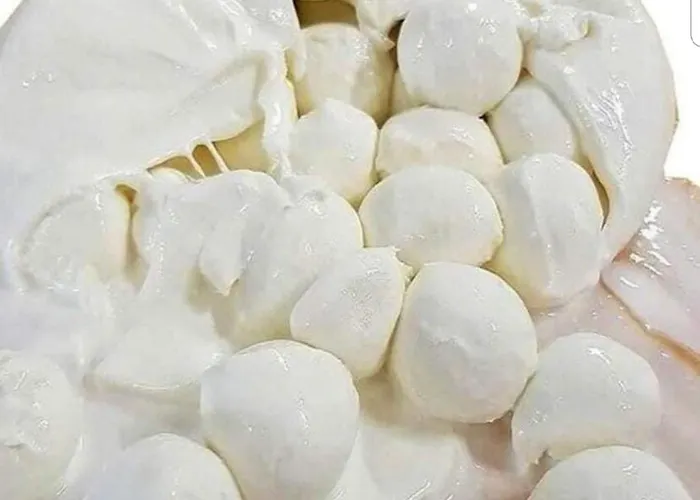 Partenope 10 Gasthof